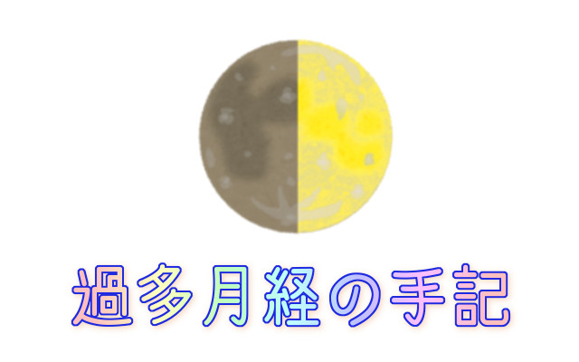 急性失血性貧血と出血性ショック 過多月経の手記